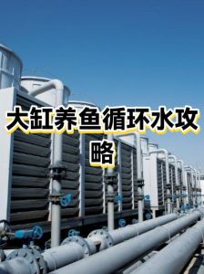 养鱼循环水怎么制作，矿泉水瓶自制简易循环过滤系统