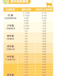 17年的猫相当于多少岁，我家17岁老猫，相当于多大年纪？