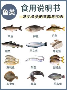 一个人能吃多少斤鱼，常吃鱼有益健康，中荷有推荐量
