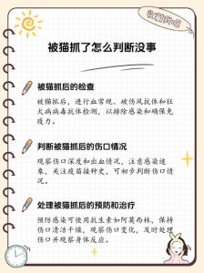 被家养猫抓了怎么判断没事，猫抓伤别大意，深伤要当心，按时打疫苗防感染