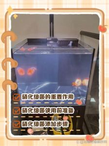 新开缸没鱼可以放硝化菌吗，养鱼先加硝化细菌？新缸要等有鱼排氨，还得铺细菌屋