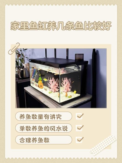 养鱼最佳数量对照表，1469条招财，235条阻碍？