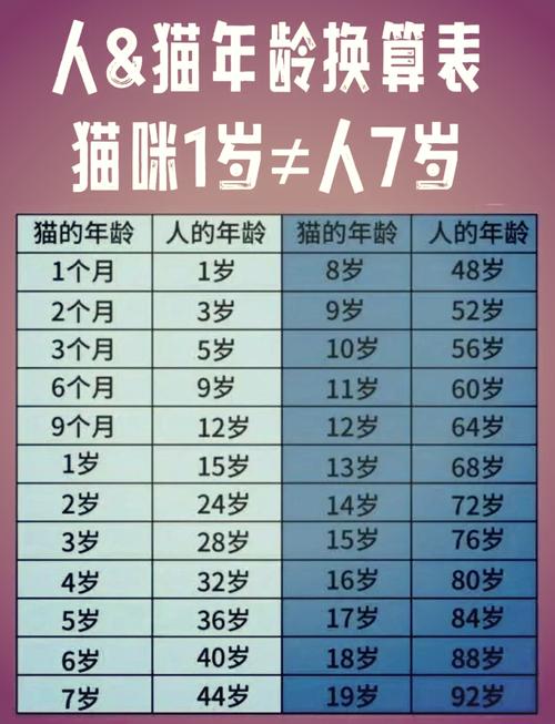 6年的猫相当于人几岁，6岁猫相当于50岁？铲屎官要注意了！