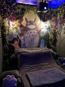 龙猫养卧室晚上闹吗，龙猫爱闹腾？隔音笼子玩具来帮忙！