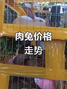 肉兔2025价格表，肉兔价格涨跌，养殖方式是关键
