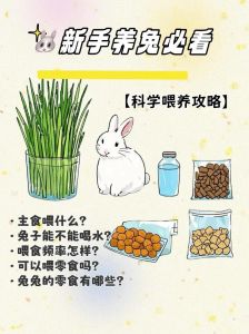 兔子能喝淡盐水吗，别给兔子喝淡盐水，白开水加些东西就行！