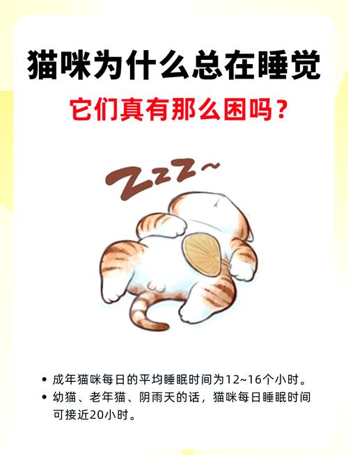 长期跟猫咪一起睡会怎样,和猫同睡好处多 注意卫生防过敏 长期跟猫咪一起睡会怎样,和猫同睡好处多 注意卫生防过敏