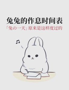 兔子的作息习惯，怕吵爱干净，需安静舒适环境