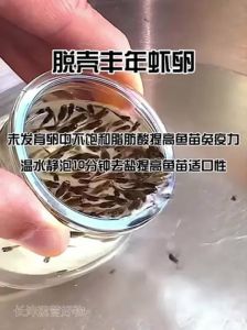 可以给我吃一口吗养鱼的人，天壤之别