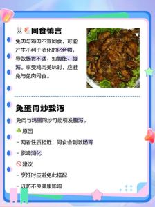 兔肉不能多吃的原因，兔肉虽好，适量食用才健康
