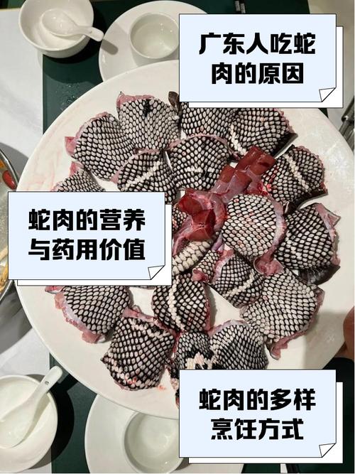宰杀养殖的五步蛇合法吗，养五步蛇有风险，需守法不能只图钱