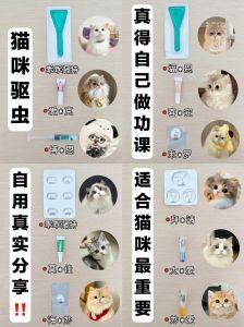 圈养猫可以不驱虫吗，室内猫也要定期驱虫防病