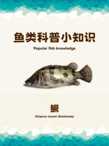 桂鱼为什么不能随便养，桂鱼好吃不便宜，营养一般要适量，清蒸更健康
