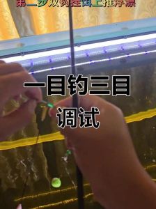 调漂空钩中鱼钓到鱼后面没口，钓鱼没口？先别急，检查天气饵料和调漂！