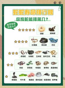 养蛇对人体有害吗，注意安全与责任
