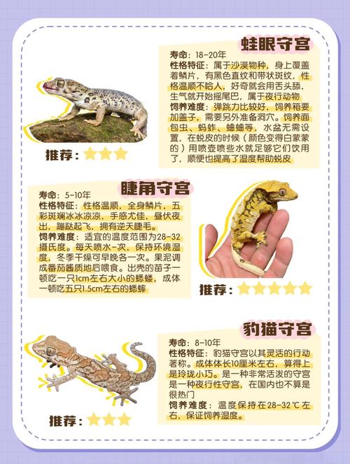 蜥蜴保护动物名单，发现新蜥蜴！保护环境很重要