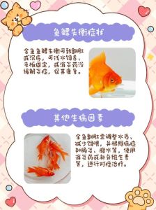 小金鱼翻肚皮但又没死怎么办，小金鱼翻肚皮咋办？赶紧升温换水救救它！