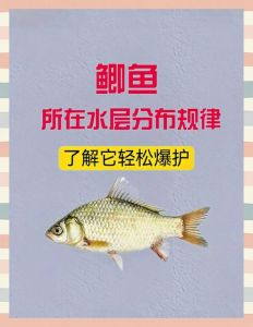 钓鱼钝口好还是灵好，钓灵钓钝有讲究，看鱼情灵活应变！