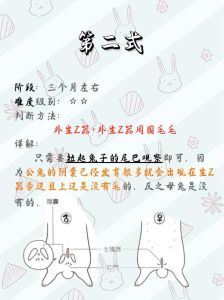 公兔和母兔哪个好养，公兔母兔哪个好？性格不同看喜好