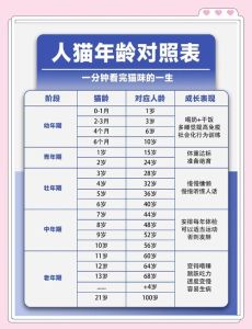 猫的十岁实际多久，猫咪10岁等于70岁，如何照顾老猫？