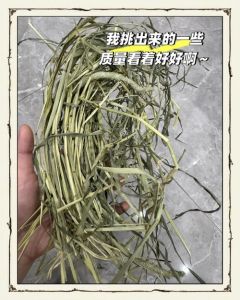 兔粮发霉了还能喂不，兔粮发霉绝不能喂！