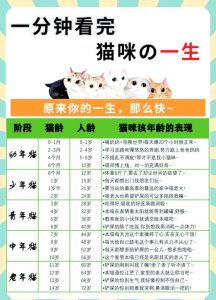 桑代克的猫类似教资口诀，学东西就像猫试错