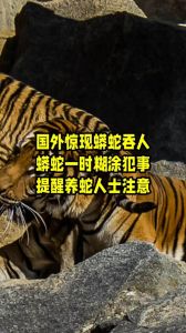 普通人吃蛇犯法吗，抓蛇放鹌鹑被捕 四人售野蛇获刑