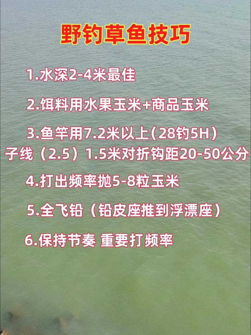 钓鲤鱼草鱼的最佳配料,春季鱼爱虫香饵,夏季喜酒香饵,饵料要新鲜灵活用 钓鲤鱼草鱼的最佳配料,春季鱼爱虫香饵,夏季喜酒香饵,饵料要新鲜灵活用