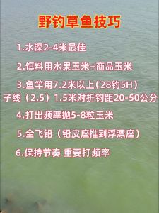 钓鲤鱼草鱼的最佳配料，春季鱼爱虫香饵，夏季喜酒香饵，饵料要新鲜灵活用
