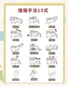 撸猫的时候要注意什么，撸猫有妙招，顺毛轻抚它就乖