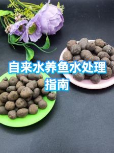 一半纯净水一半自来水养鱼，养鱼用水要注意水质稳定，混水需谨慎处理氯含量