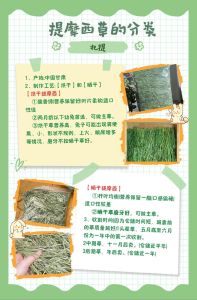 兔子没草吃什么代替，阳台养兔，雨季无草？胡萝卜生菜补充，干草为主，水果洋葱忌！