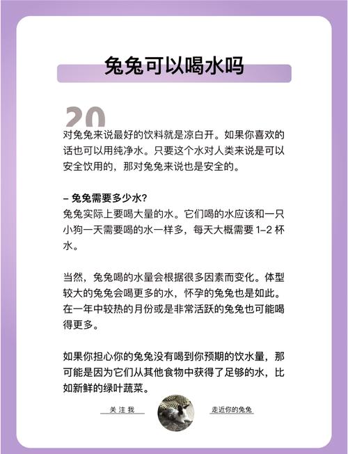兔子养不能超过三年，养兔子不难，用心喂食和环境好，十年八岁没问题