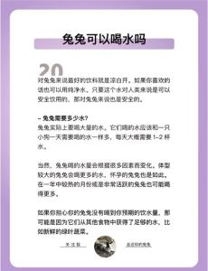 兔子养不能超过三年，养兔子不难，用心喂食和环境好，十年八岁没问题