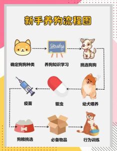深圳市养犬管理图解，禁养25种犬，违者罚款五千！