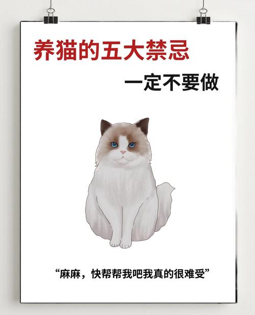 刚结婚为啥不让养猫,新婚别养猫?考虑下责任与爱! 刚结婚为啥不让养猫,新婚别养猫?考虑下责任与爱!