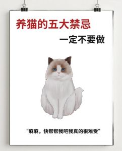 刚结婚为啥不让养猫，新婚别养猫？考虑下责任与爱！
