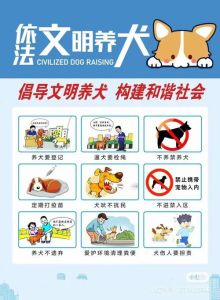 养犬违法，选对犬种 科学喂养 遵守规定