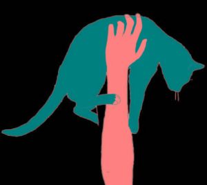 为什么黑猫来了会死人，埃及宝贝欧洲灾星