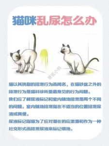 猫主人几天不在家猫在床上尿，猫咪在家偷尿怎么办？快查原因绝育勤换砂！