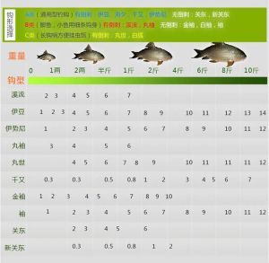 钓鲤鱼用几号钩几号线，选对鱼钩钓鲤鱼，大小灵活很重要