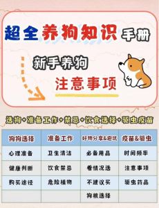 想要了解养狗的知识，养狗要用心爱，耐心教导，合理管教，让它快乐成长