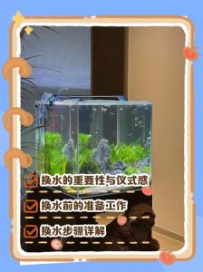鱼缸水面有浮沫怎么处理，鱼缸水面浮沫怎么办？