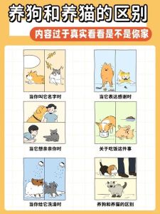 属狗的为什么不能养猫，狗猫性格不合，老话有智慧