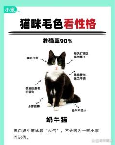 养猫颜色有讲究吗，黑猫辟邪招财，三花猫最灵验