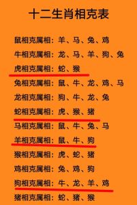 生肖兔和什么生肖合，感情甜蜜和谐