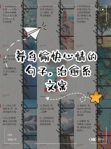 养鸟文案简短干净，养鸟乐趣多，换水清笼子，健康又快乐