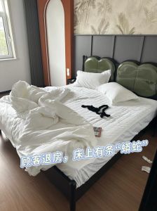 日本床上养蟒蛇，养蟒蛇当宠物有危险，小孩被咬伤提醒要谨慎