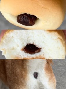 小狗狗能吃面包吗，狗狗能吃面包？量要控制，别喂添加剂！