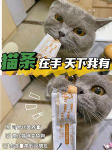 甜狗老公是个粘人精未删减，甜腻粘人精老公，超戳心！
